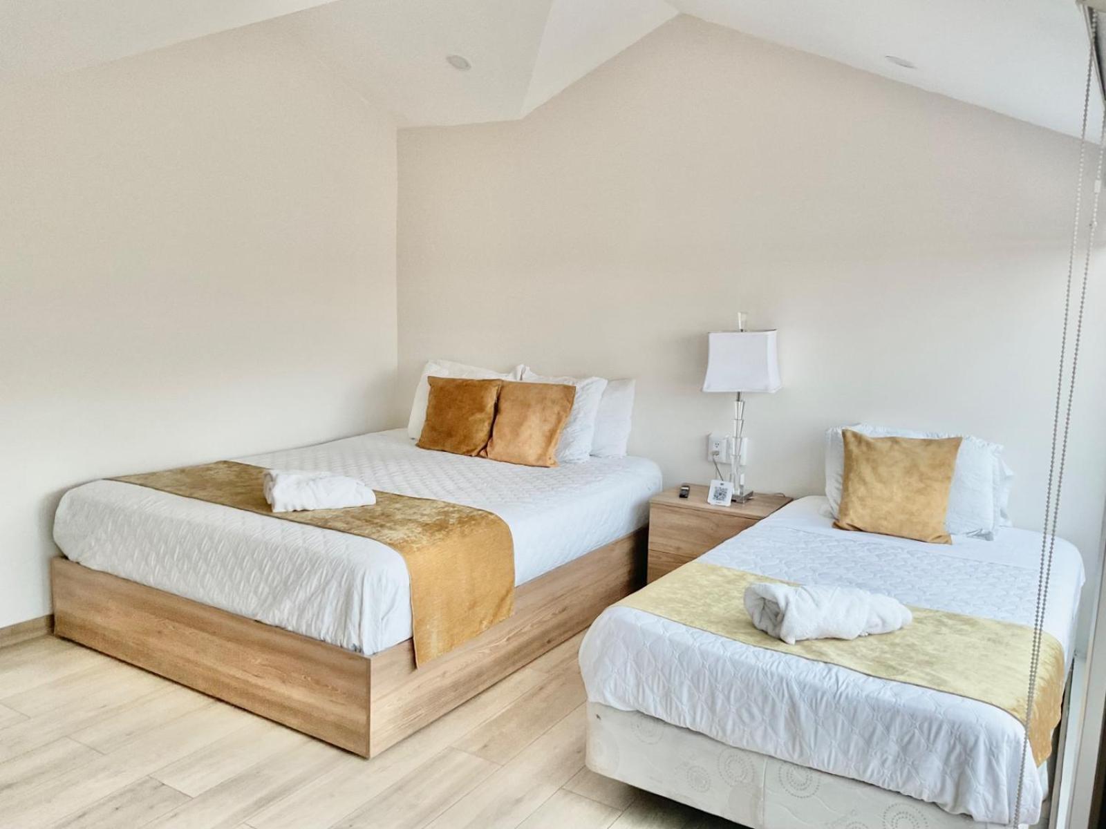 Hotel Brist0L Suites Centro Historico 昆卡 外观 照片